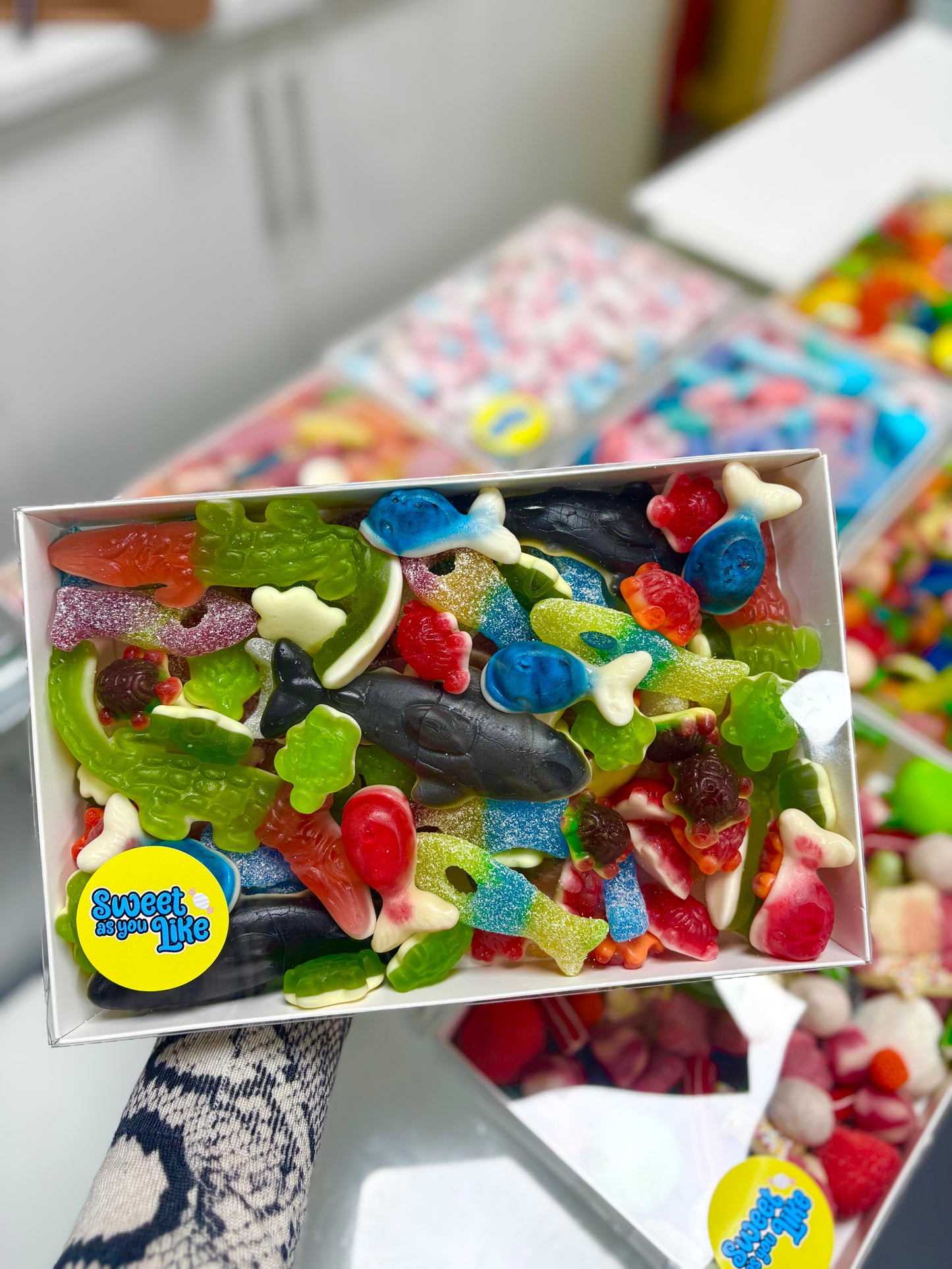 Sealife Slab