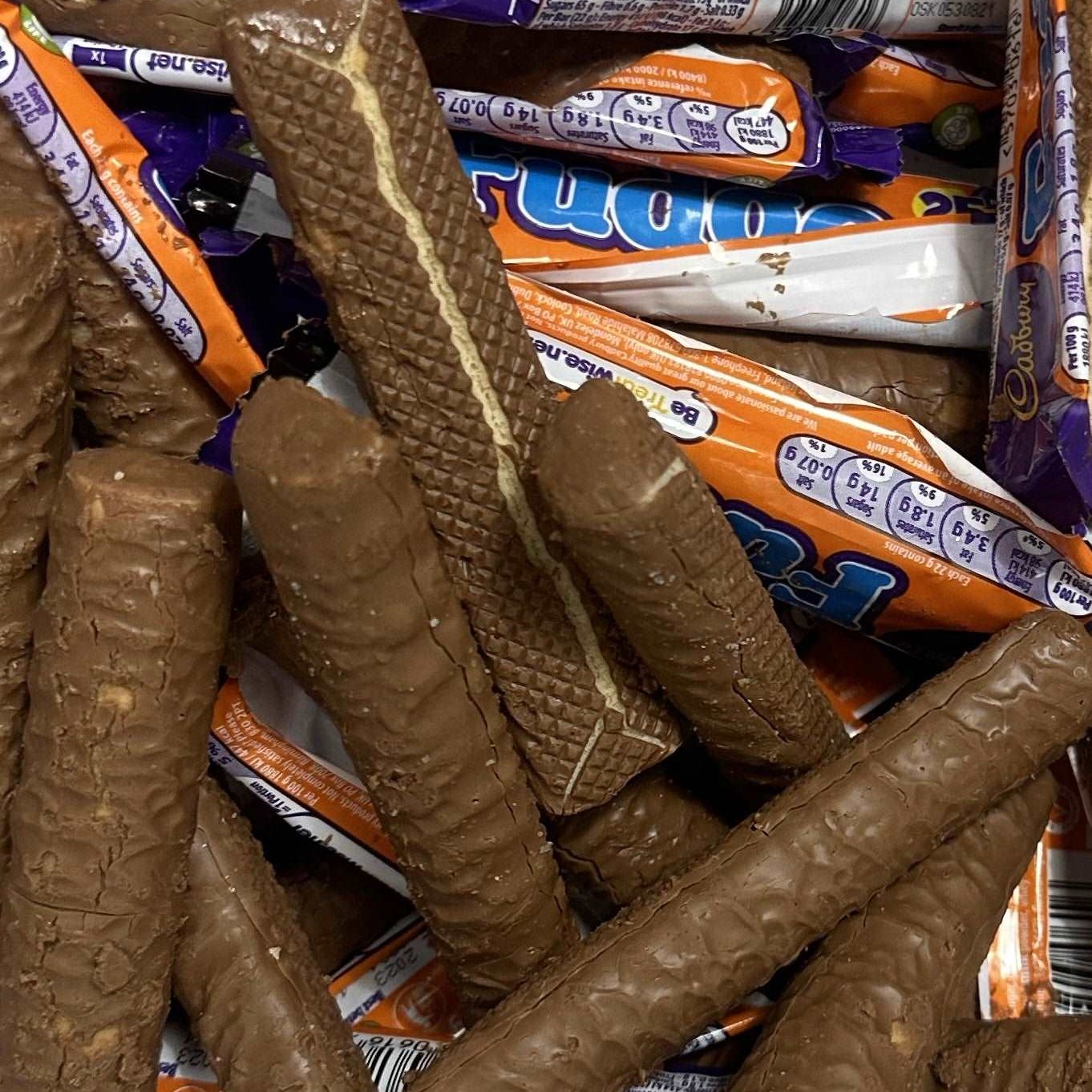 Freeze Dried Fudge Bar x2